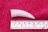 3D Printed SABRE Puppet Teeth .stl file - DIGITAL FILES